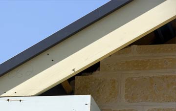 Polglass fascia repairs