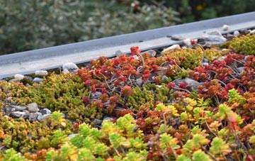 the cost of Polglass green roof installation