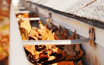 Polglass gutter cleaning companies