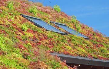 Polglass living roof systems