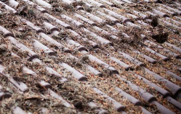 Polglass roof cleaning companies