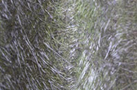 Polglass fibreglass roof work