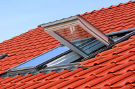 Polglass roof window